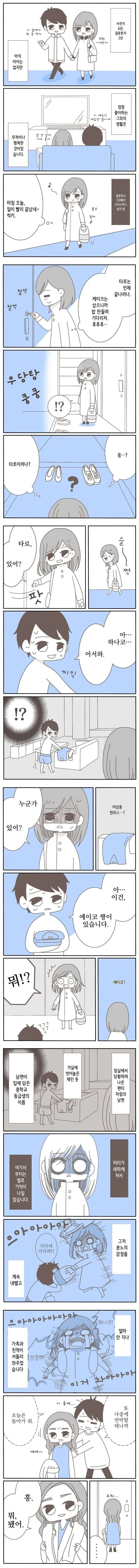 남편이 중학교 동창과 바람피워서 이혼하는 만화