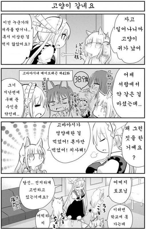 [메이드래곤] 용냥이