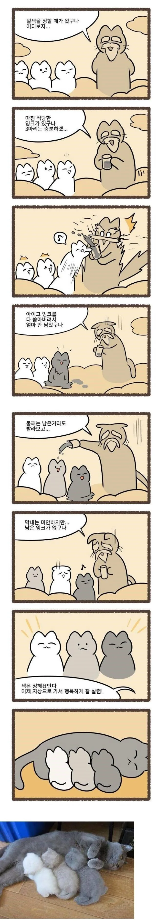 고양이 털색 정하는 만화