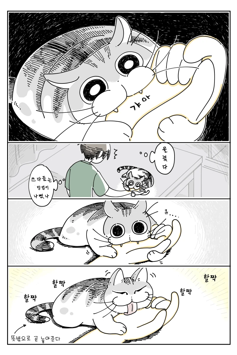 고양이가 리얼하게 귀여운.manhwa - 이미지 2