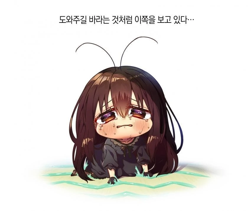 귀여운 바퀴쨩과 동거하는만화