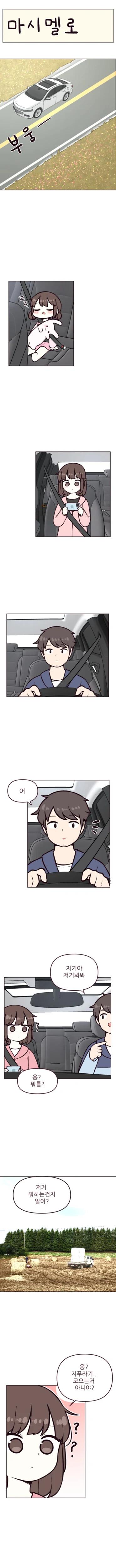 결혼 바이럴 만화