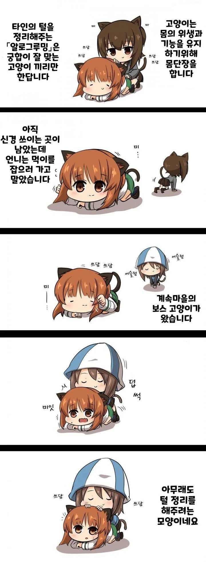 [걸판] 털정리하는 만화.manwha