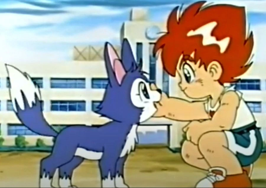 불꽃의 투구아 돗지 단페이 - 불꽃의 Go Fight