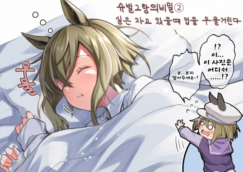 말딸) 슈발의 비밀 만화