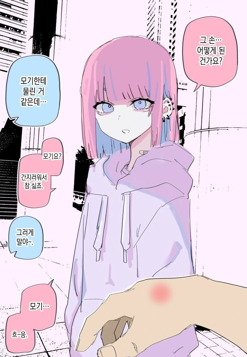 얀데레 흡혈귀 양