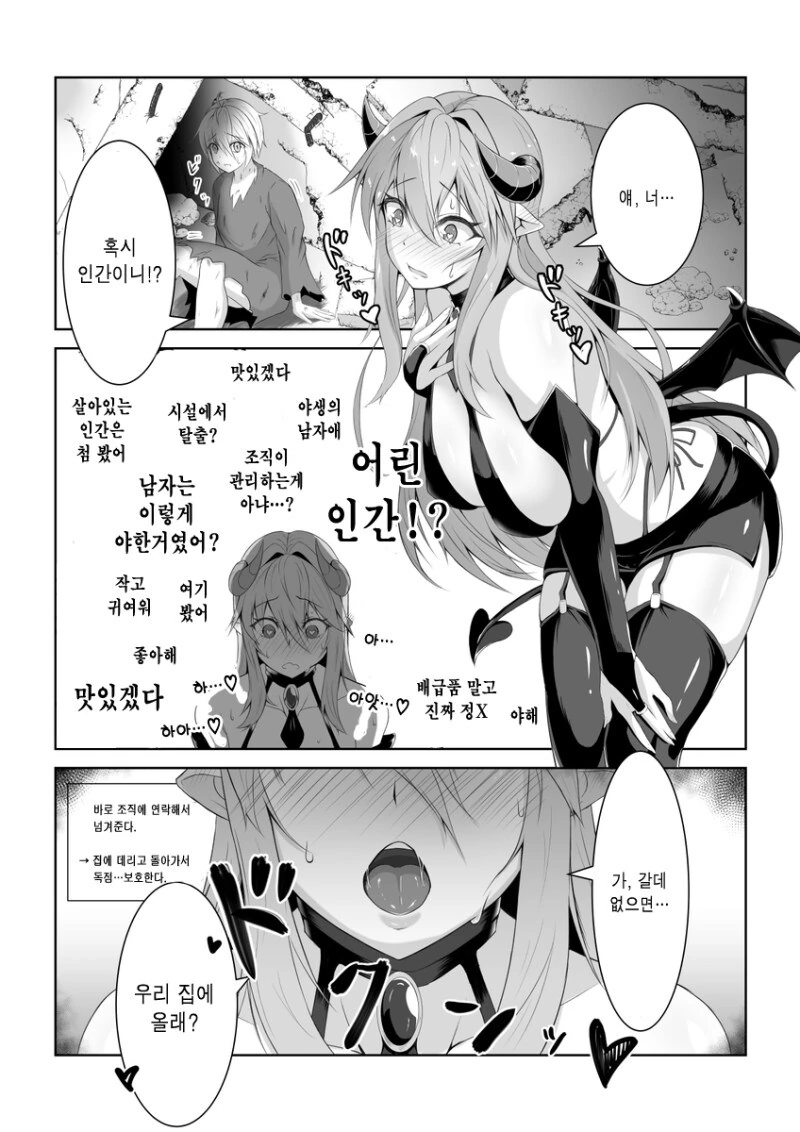 인간을 주운 서큐버스 만화