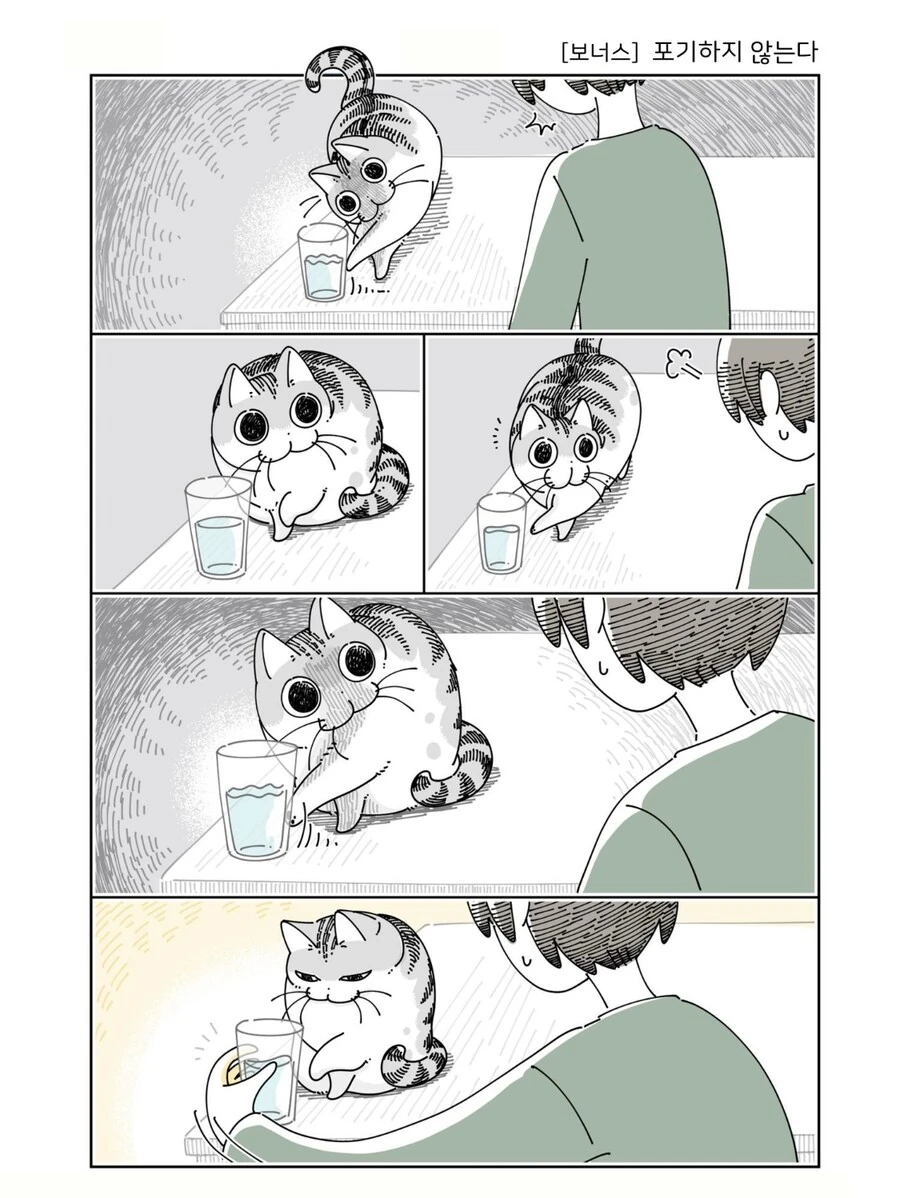 고양이가 요망한 이유