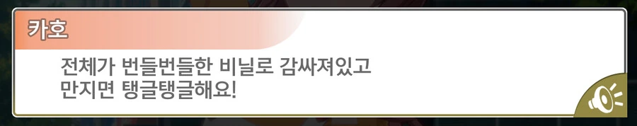 @) (...ㄲㅊ를 본걸까나..)