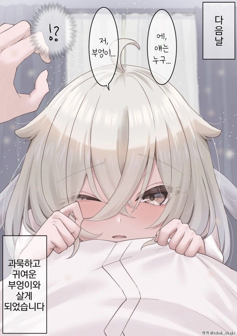 은혜갚는 과묵하고 귀여운 부엉이.manwha