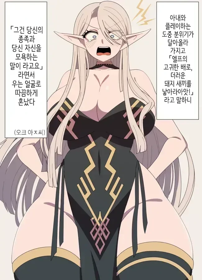 ㅅㅅ하다하 엘프 아내한테 혼나는
