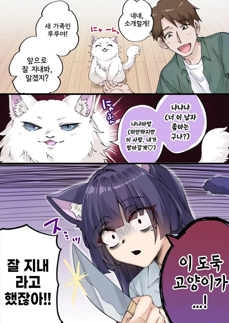 고양이 키우는 .manhwa
