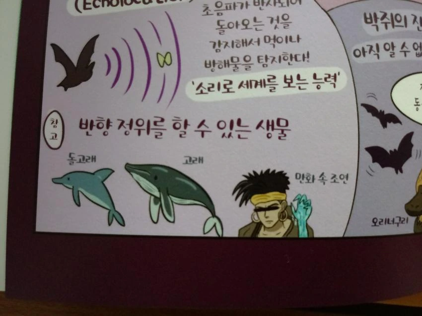 어떤 일본의 학습 만화.png