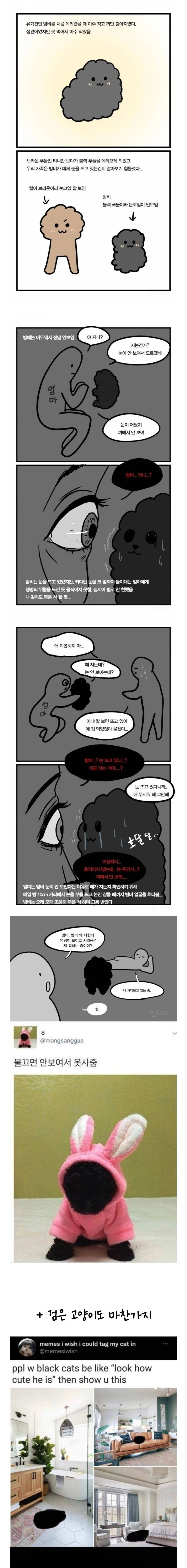 까만 강아지 최대단점.manwha