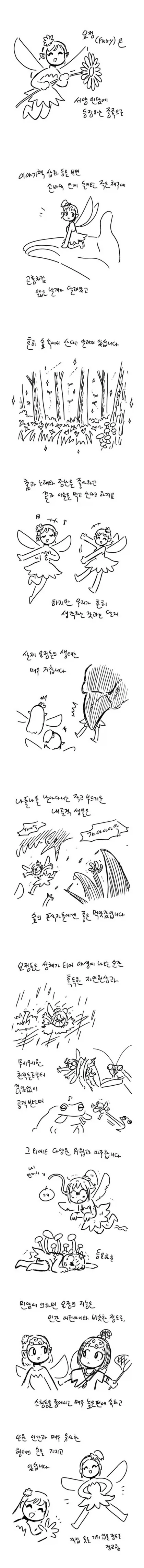 요정들의 생태.manhwa