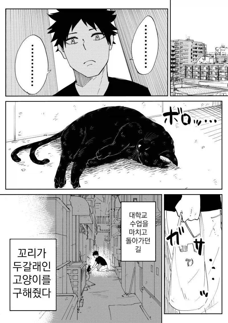 자기가 결혼 가능한 인간 ㅇㅋ이라고 주장하는 고양이 만화